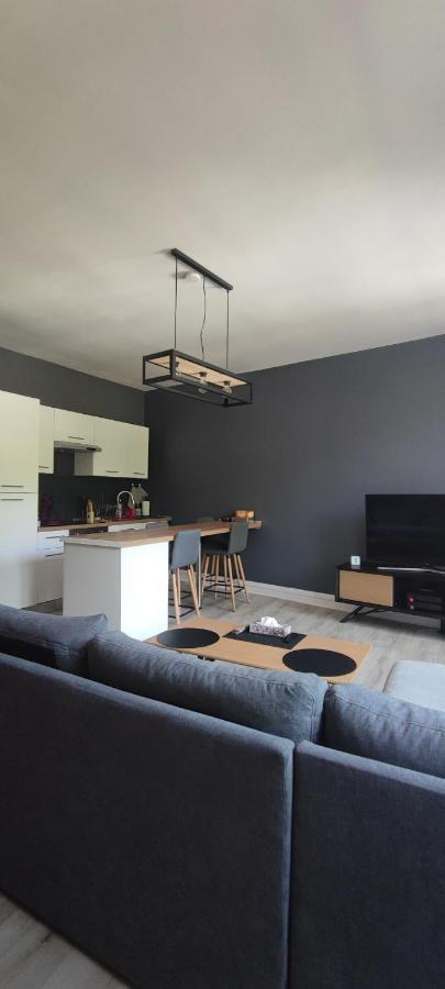 Appartement D'Hippolyte - Vue Musee Rimbaud Charleville-Mézières エクステリア 写真
