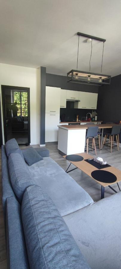 Appartement D'Hippolyte - Vue Musee Rimbaud Charleville-Mézières エクステリア 写真